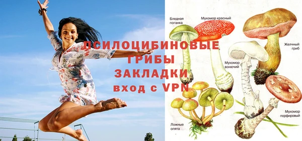 молекула духа Алексеевка